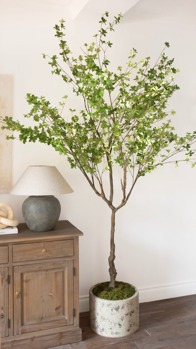 Pianta artificiale Shady Lady by Salvatore Izzo | Xone - Perrone Shop