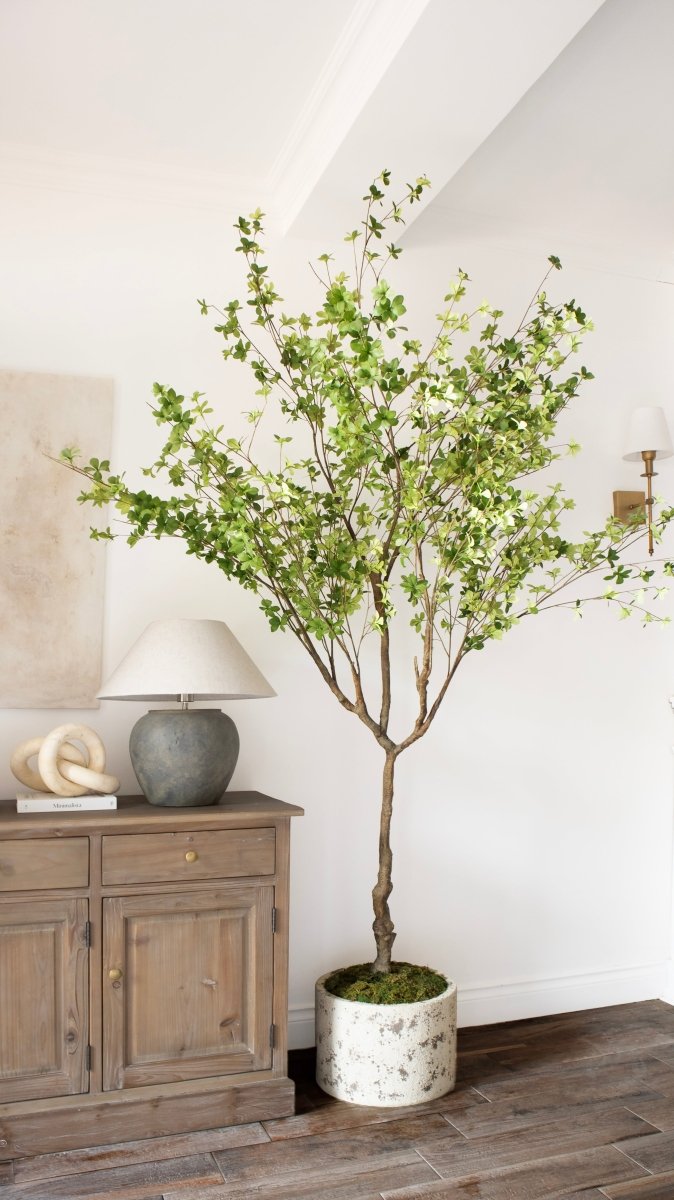 Pianta artificiale Shady Lady by Salvatore Izzo | Xone - Perrone Shop