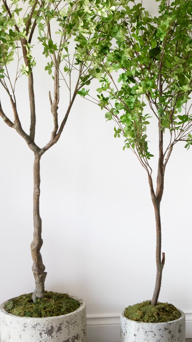 Coprivaso Decorativo in Terracotta by Salvatore Izzo | Xone - Perrone Shop