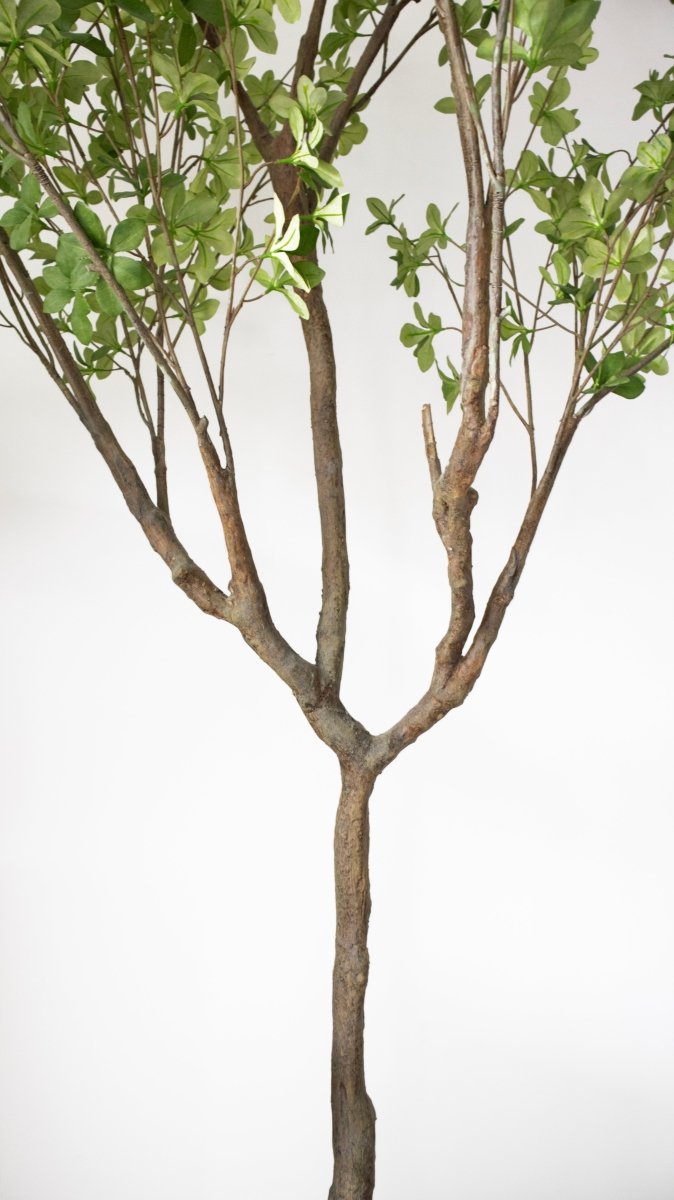 Pianta artificiale Shady Lady by Salvatore Izzo | Xone - Perrone Shop