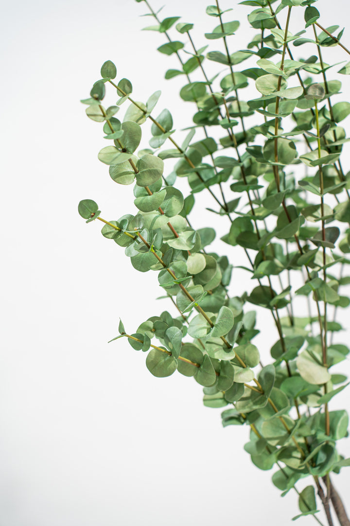 Eucalipto Artificiale Deluxe in vaso h140cm Xone