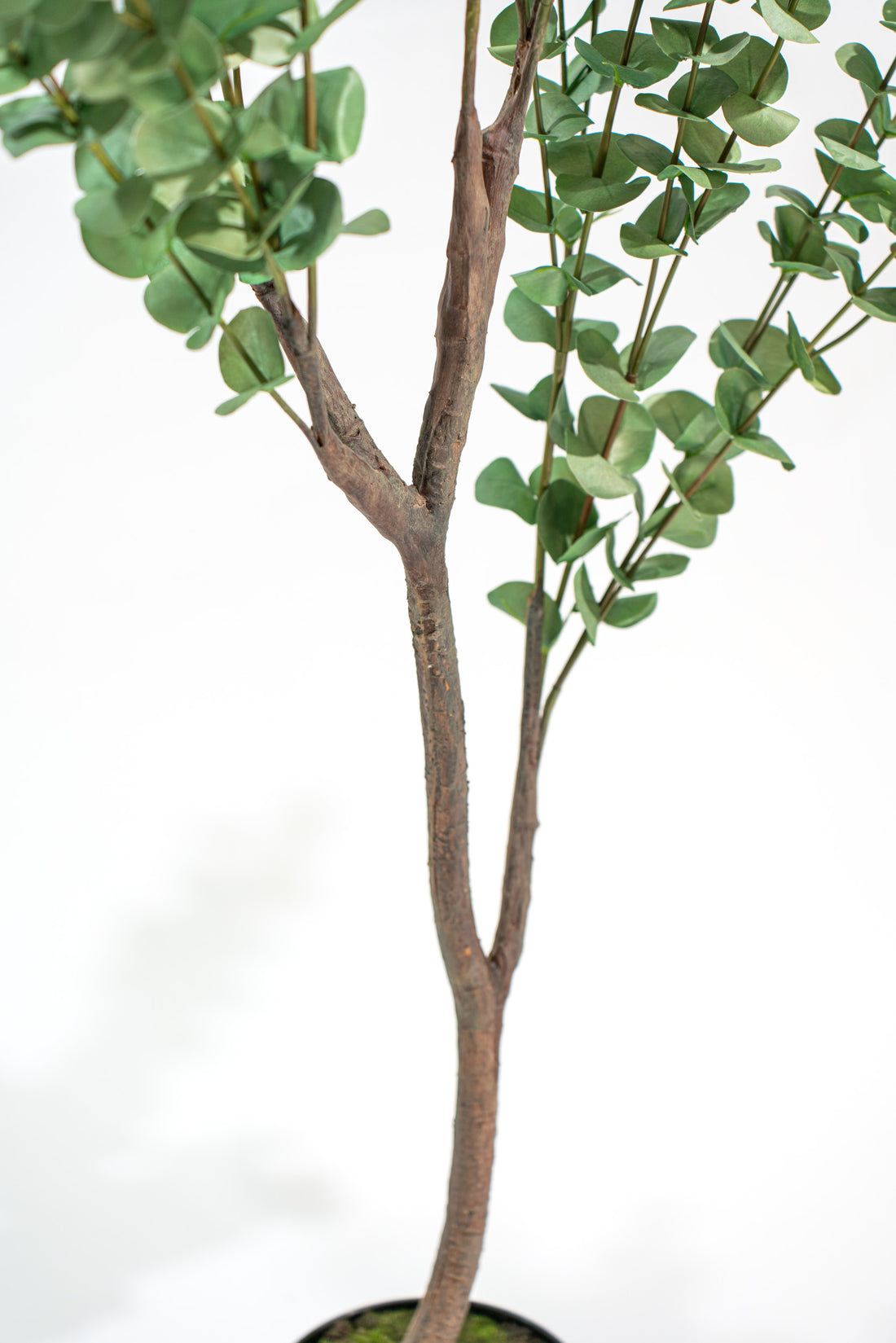 Eucalipto Artificiale Deluxe in vaso h140cm Xone