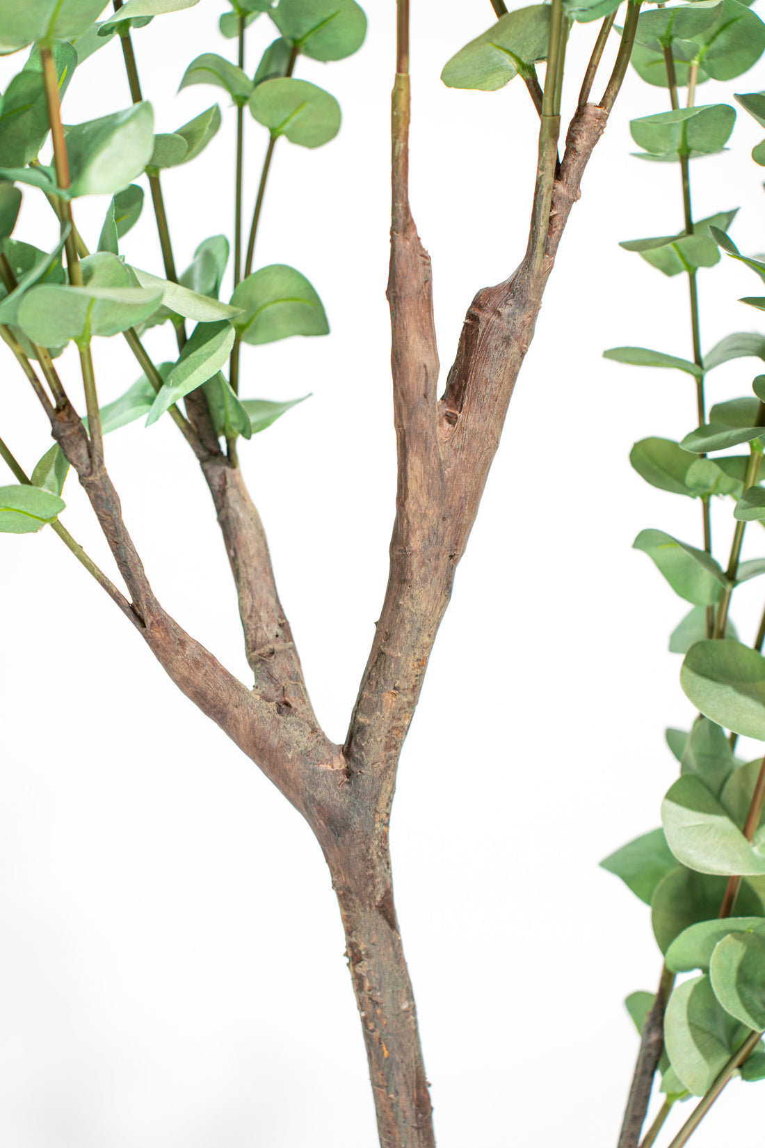 Eucalipto Artificiale Deluxe in vaso h140cm Xone