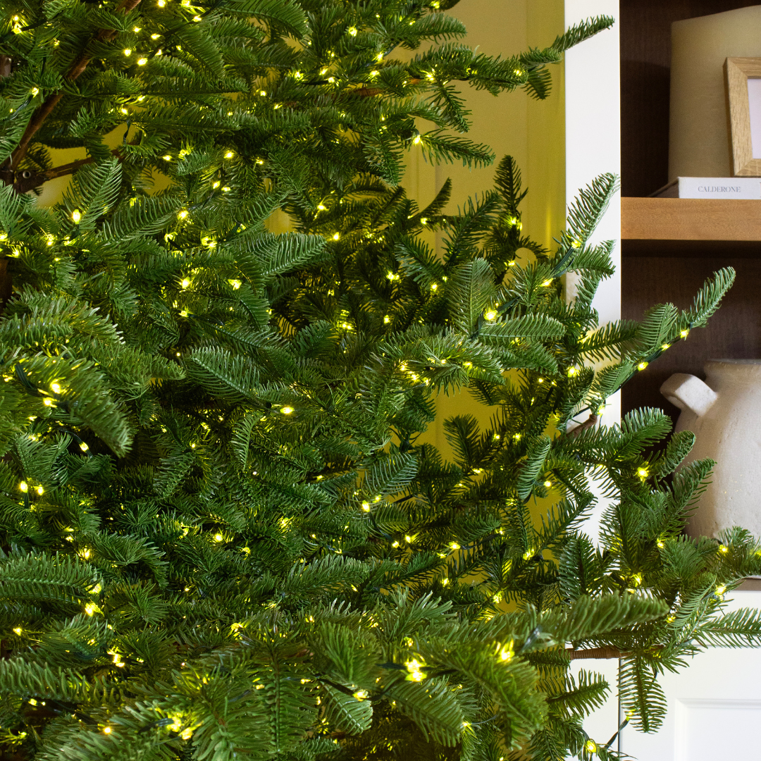 Albero di Natale Rockefeller Led by Salvatore Izzo