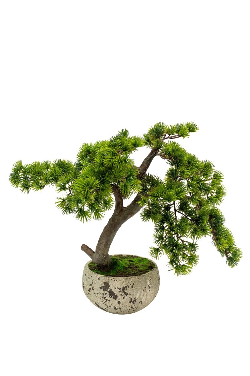 Pino Bonsai artificiale In vaso di cemento altezza 50cm Xone - Perrone Shop