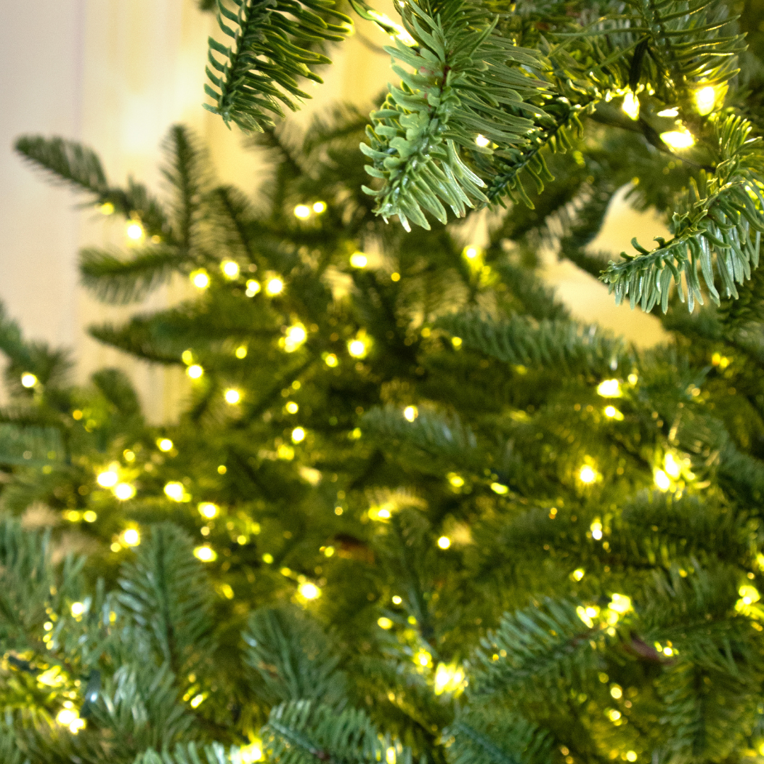 Albero di Natale Rockefeller Led by Salvatore Izzo