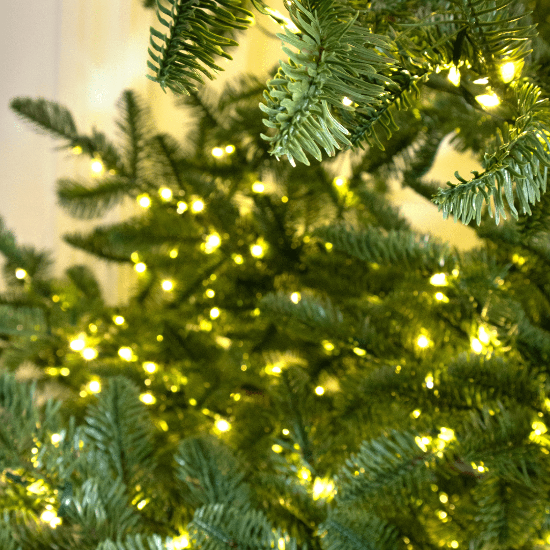 Albero di Natale Rockefeller Led by Salvatore Izzo - Perrone Shop