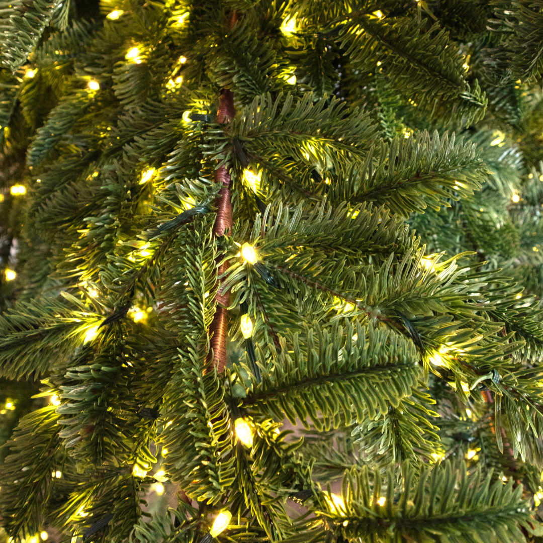 Albero di Natale Rockefeller Led by Salvatore Izzo