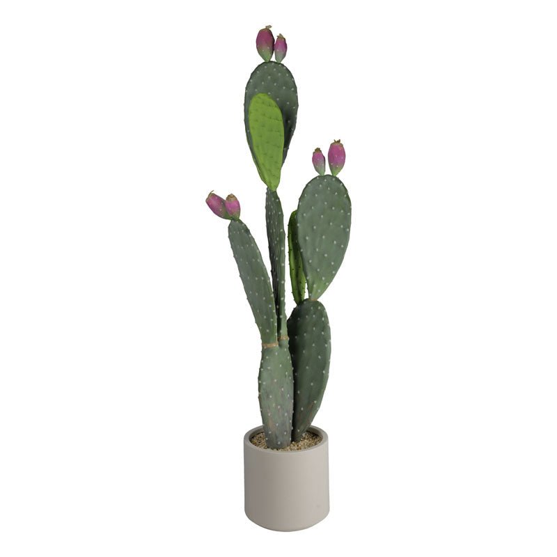 Cactus con vaso in PVC H.101cm - Perrone Shop