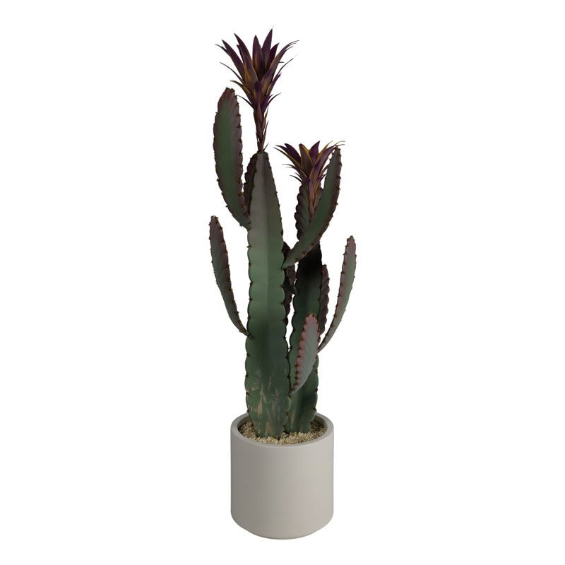 Cactus con vaso in PVC H.81cm - Perrone Shop