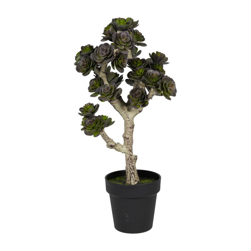 Sedum succulenta artificiale in PVC H.51cm - Perrone Shop