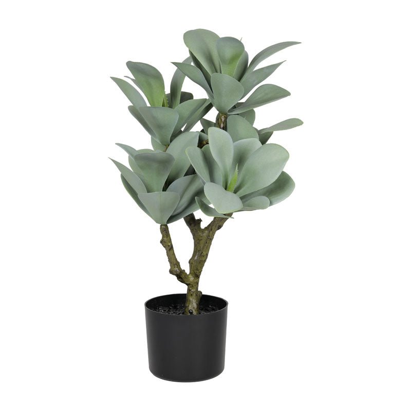 Succulenta artificiale con vasetto in PVC H.60cm - Perrone Shop