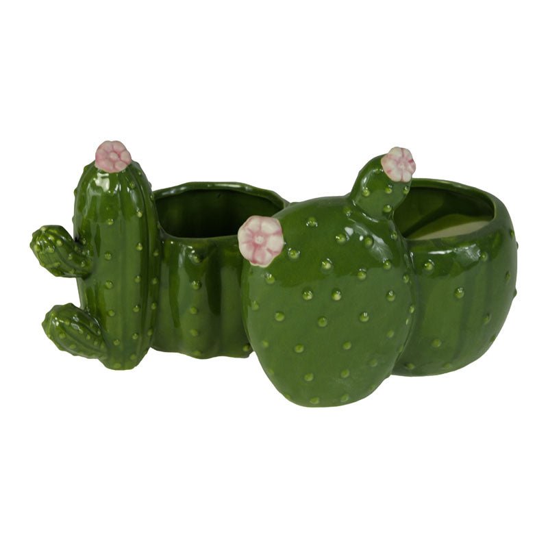 Vasetto Cactus in Ceramica Verde - Perrone Shop