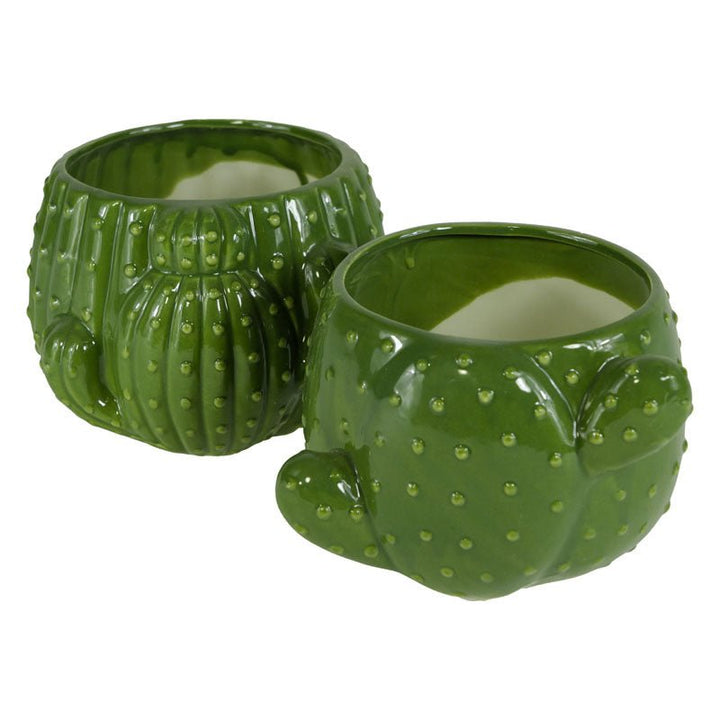 Vasetto cactus verde ceramica - Perrone Shop