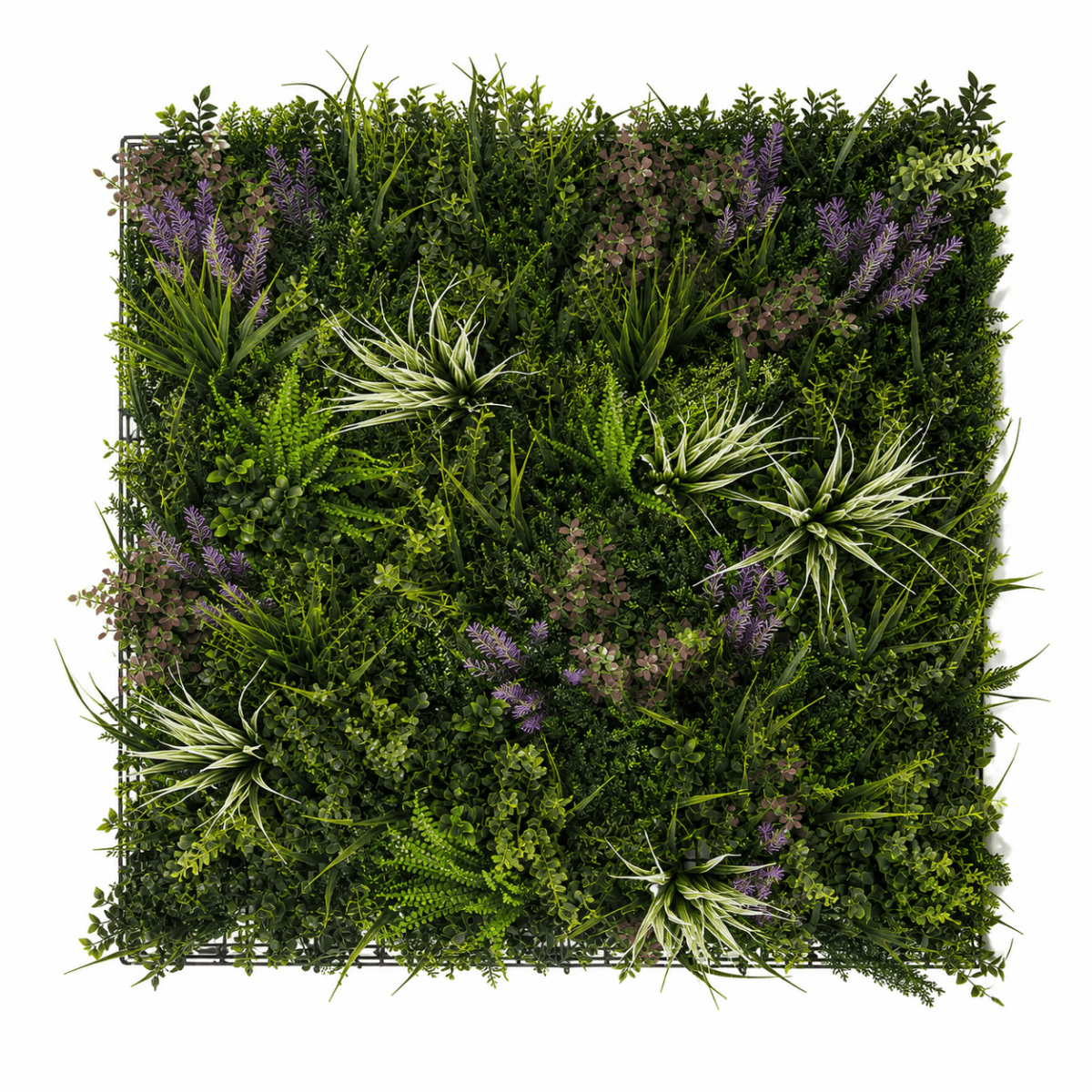 Siepe Artificiale 3D Lavanda 100x100 cm | Xone - Perrone Shop