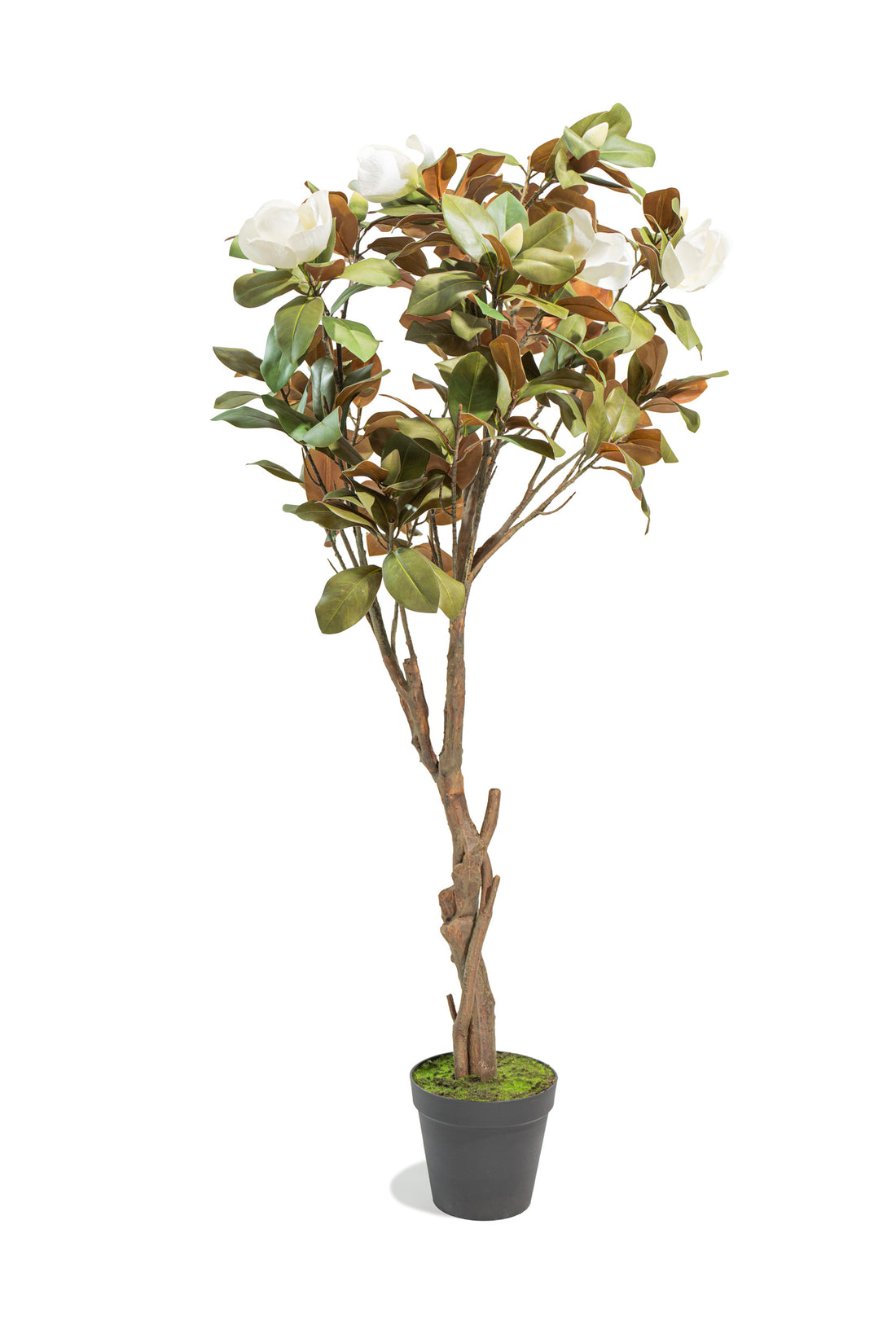 Albero artificiale realistico di Magnolia Deluxe con altezza 210cm Xone | Perrone Shop
