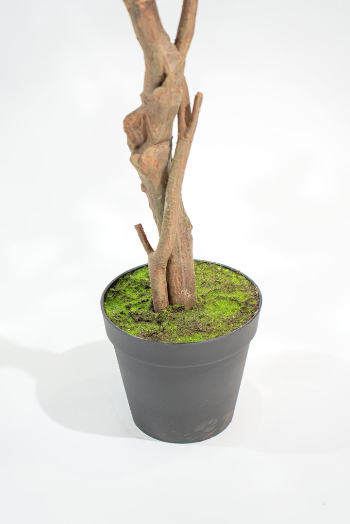 Albero artificiale realistico di Magnolia Deluxe con altezza 210cm Xone | Perrone Shop