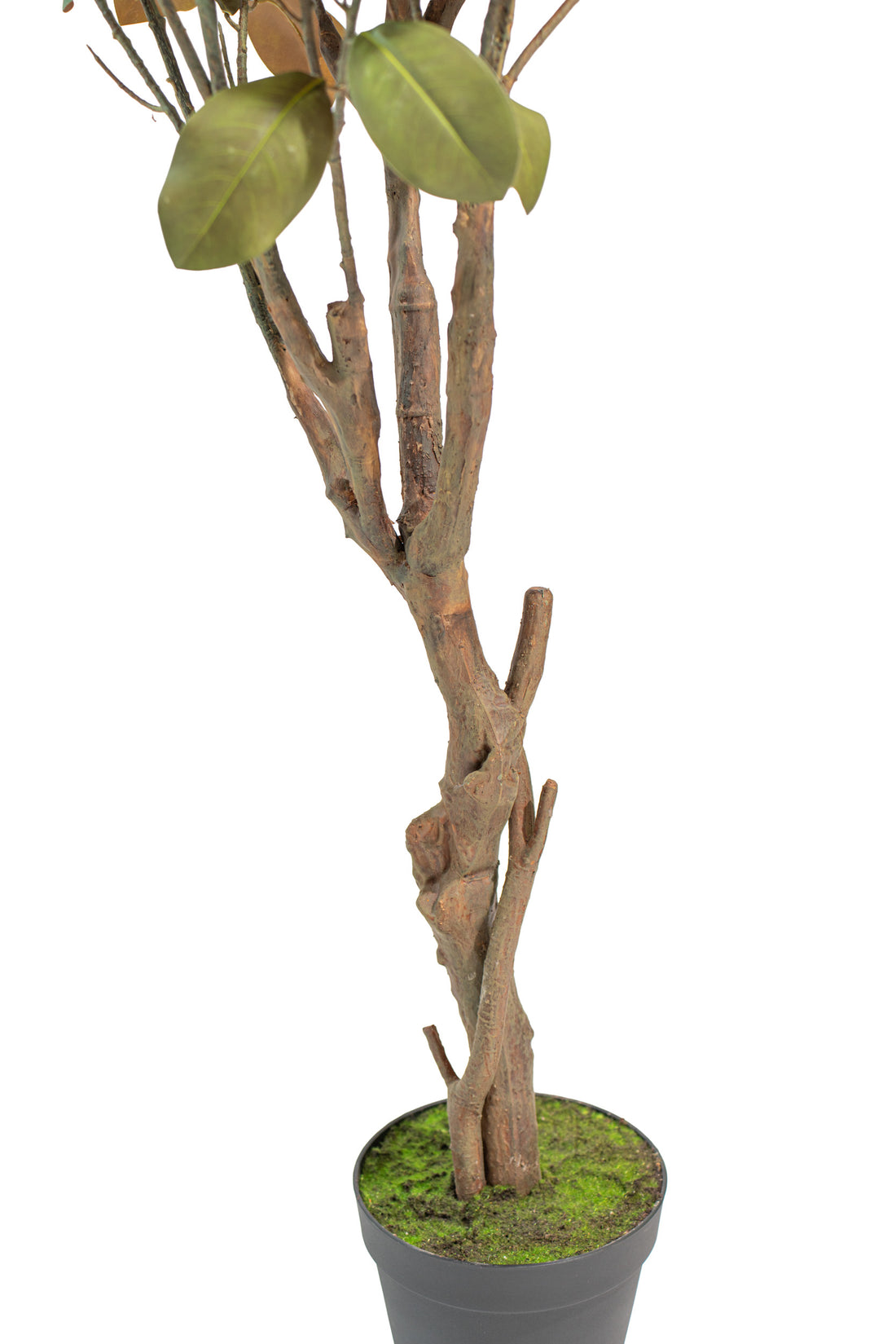 Albero artificiale realistico di Magnolia Deluxe con altezza 210cm Xone | Perrone Shop