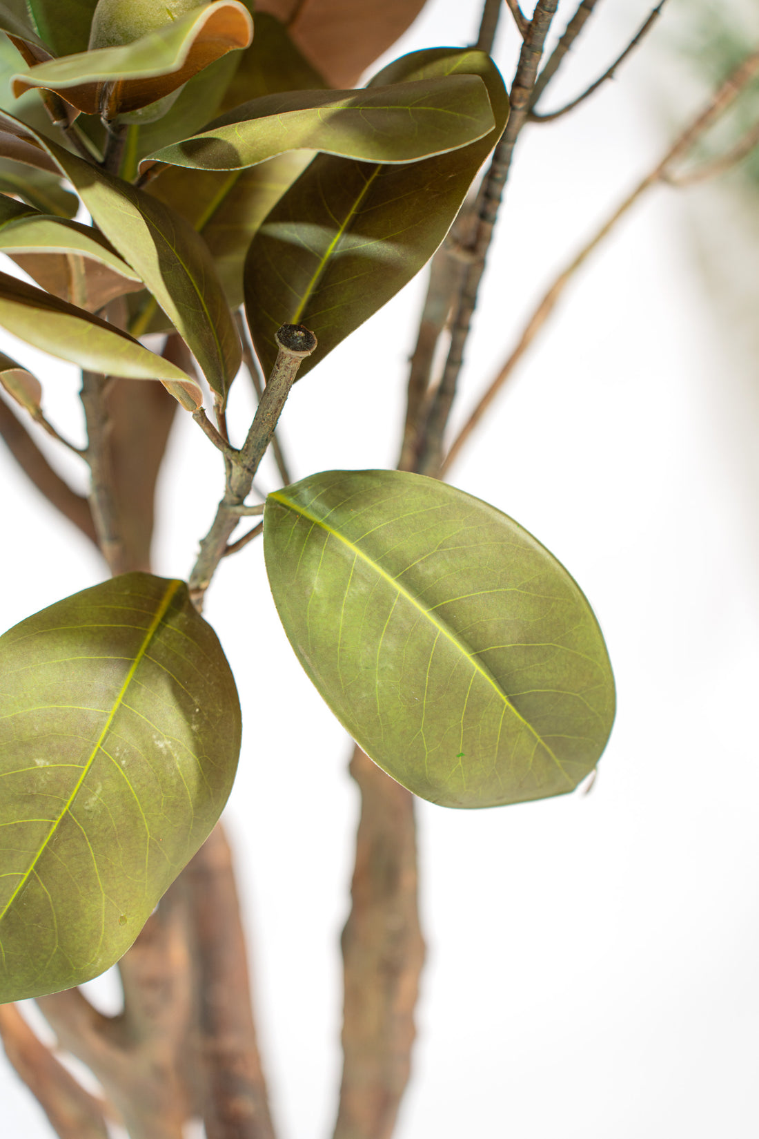 Albero artificiale realistico di Magnolia Deluxe con altezza 210cm Xone | Perrone Shop