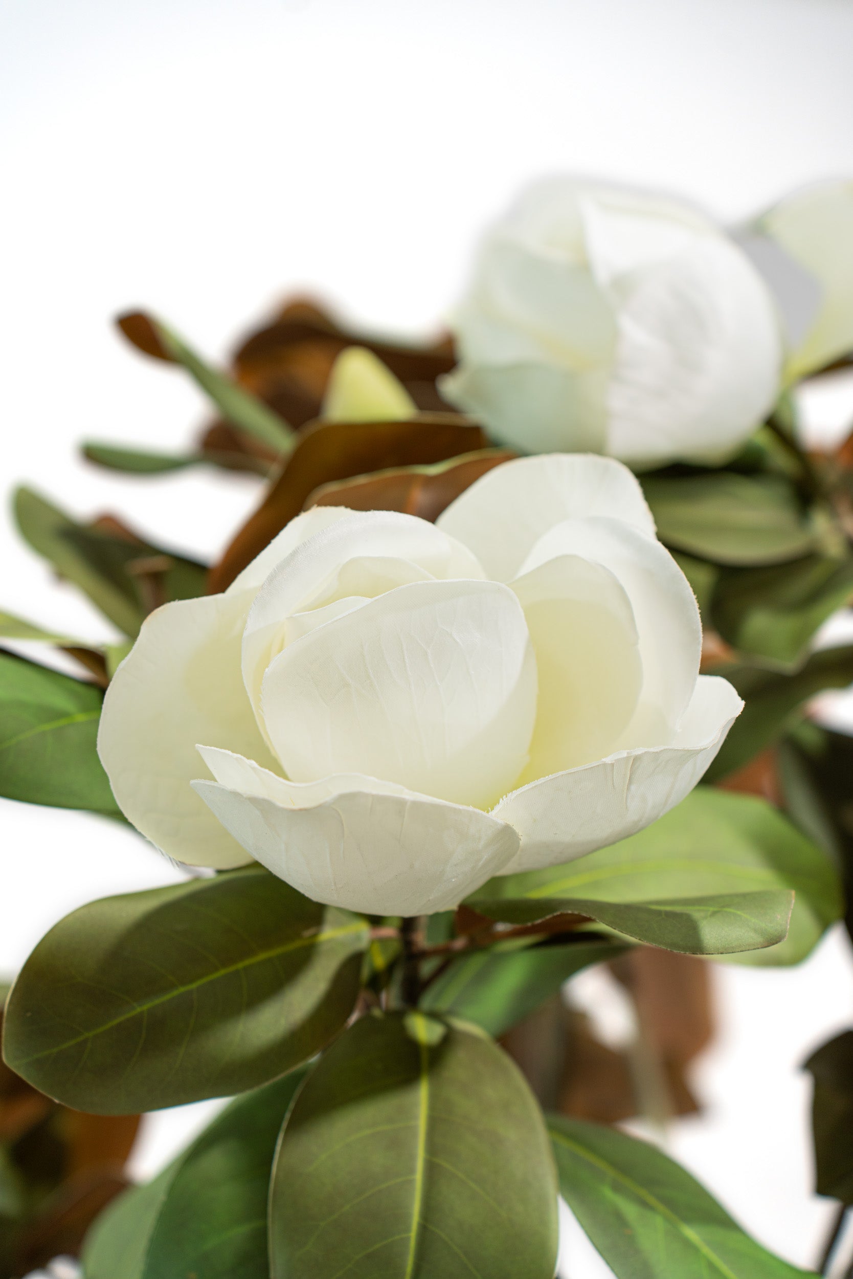 Albero artificiale realistico di Magnolia Deluxe con altezza 210cm Xone | Perrone Shop