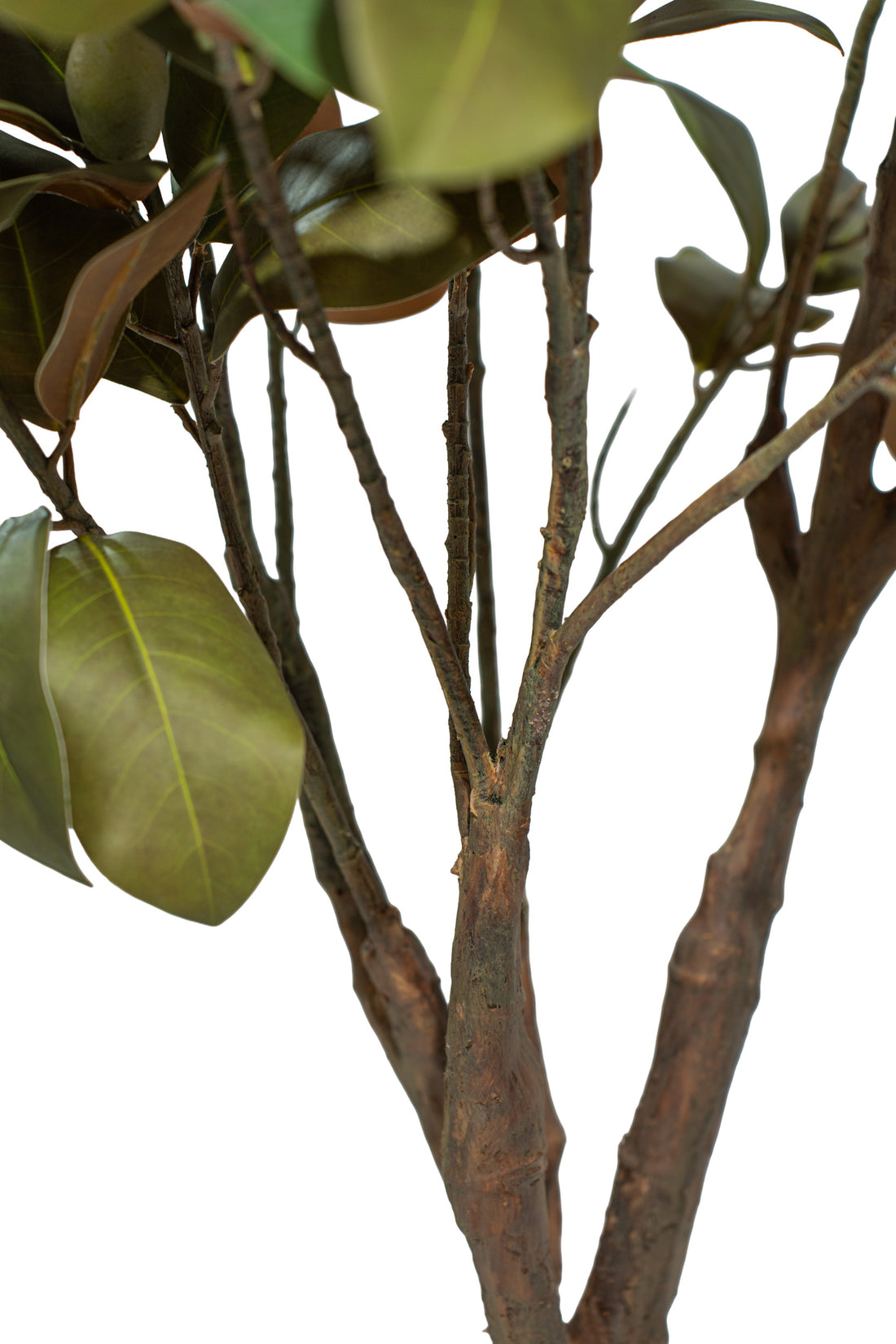 Albero artificiale realistico di Magnolia Deluxe con altezza 210cm Xone | Perrone Shop