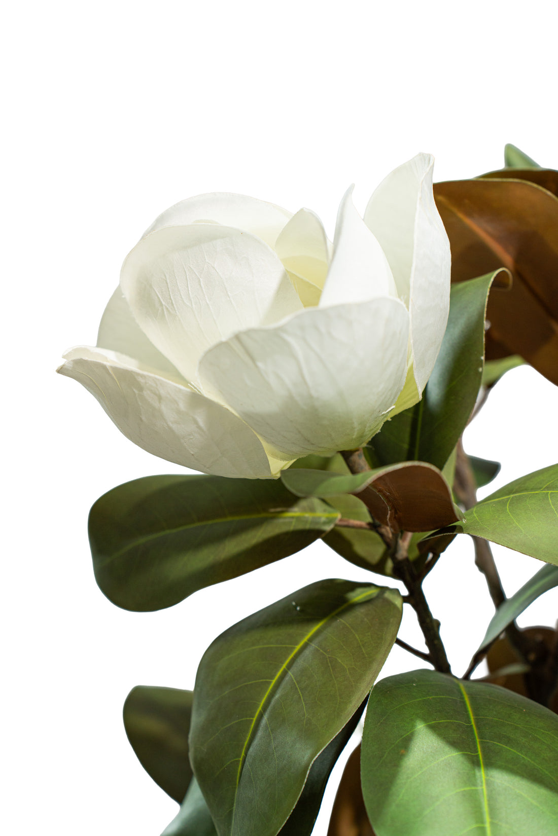 Albero artificiale realistico di Magnolia Deluxe con altezza 210cm Xone | Perrone Shop