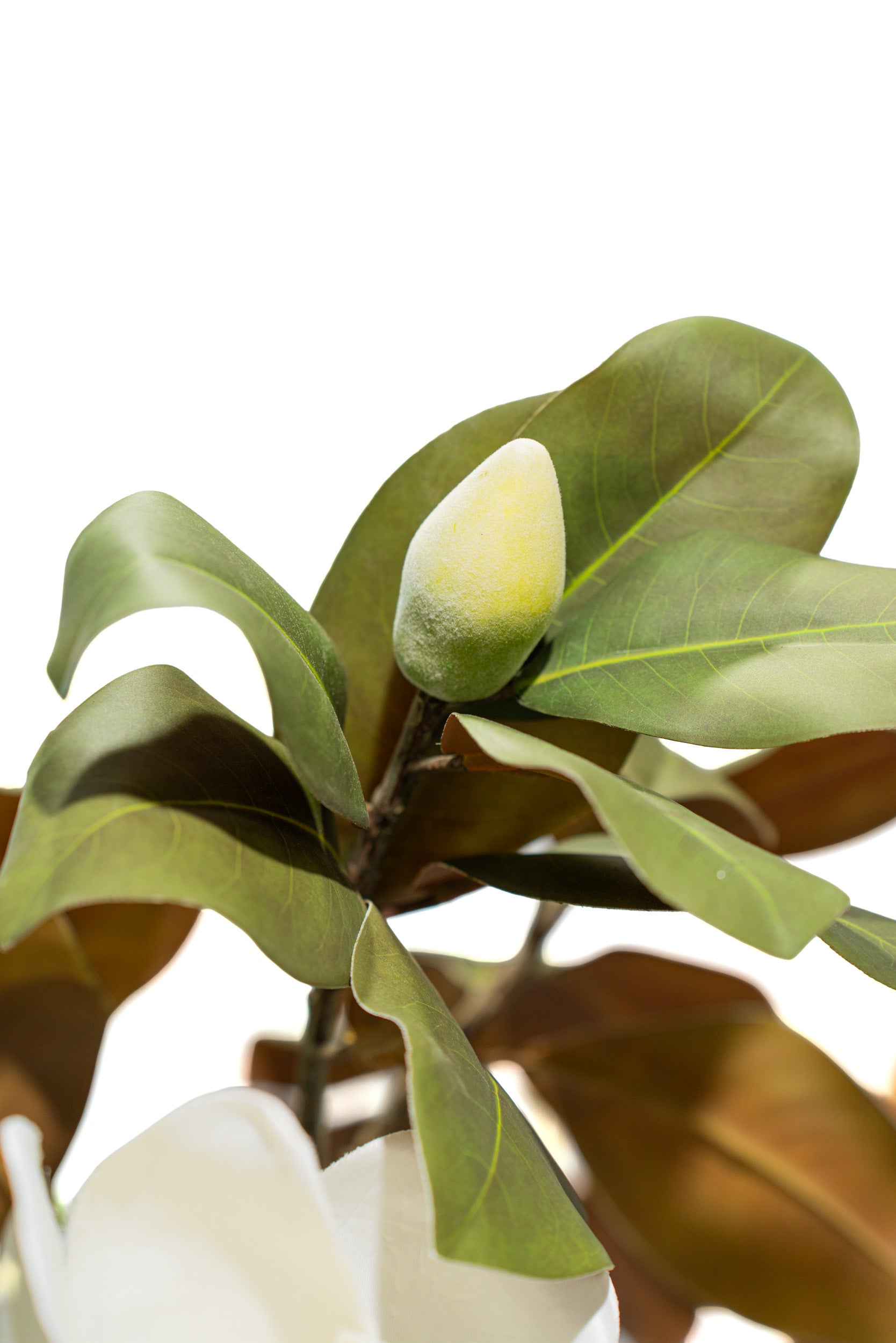 Albero artificiale realistico di Magnolia Deluxe con altezza 210cm Xone | Perrone Shop