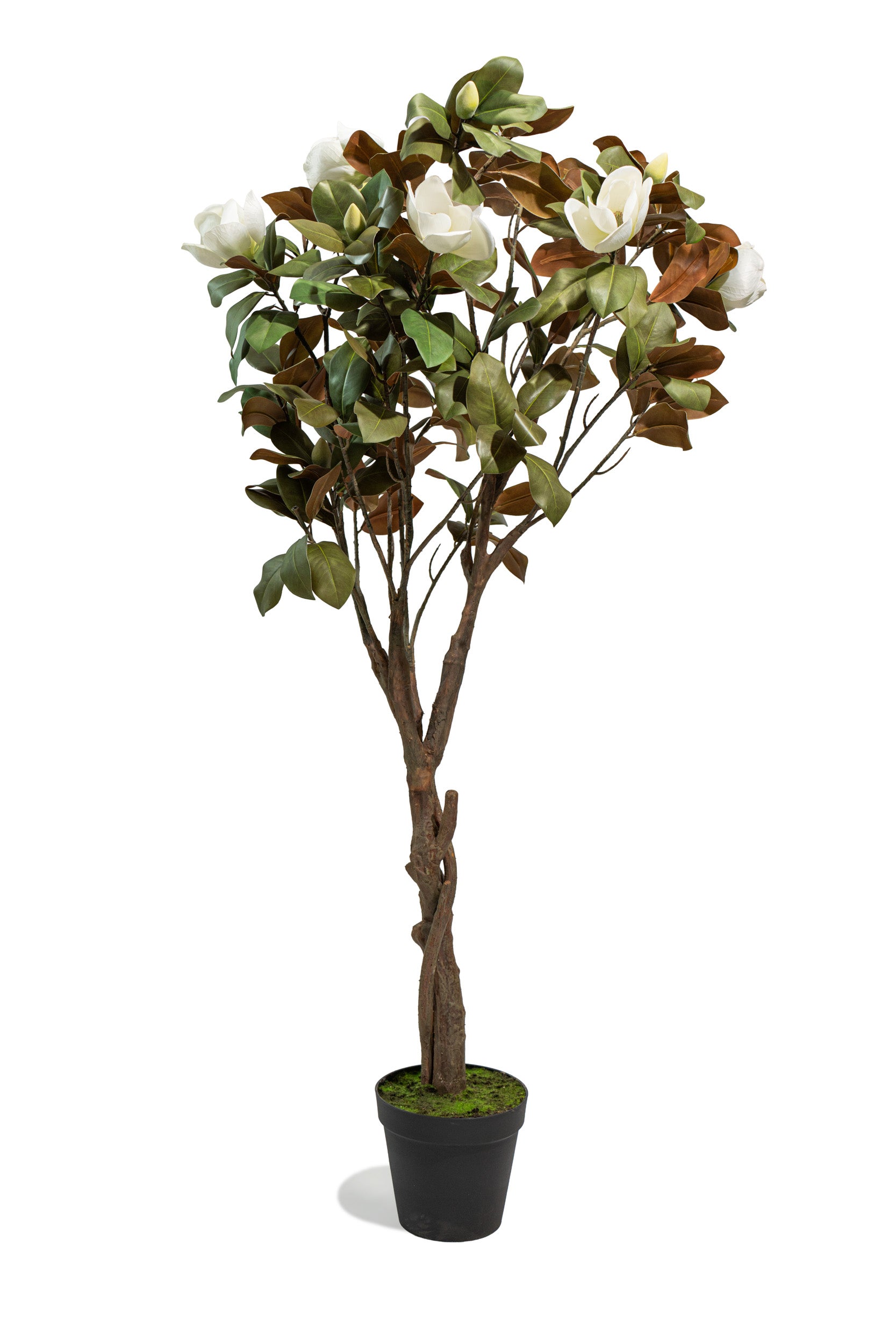 Albero artificiale realistico di Magnolia Deluxe con altezza 210cm Xone | Perrone Shop