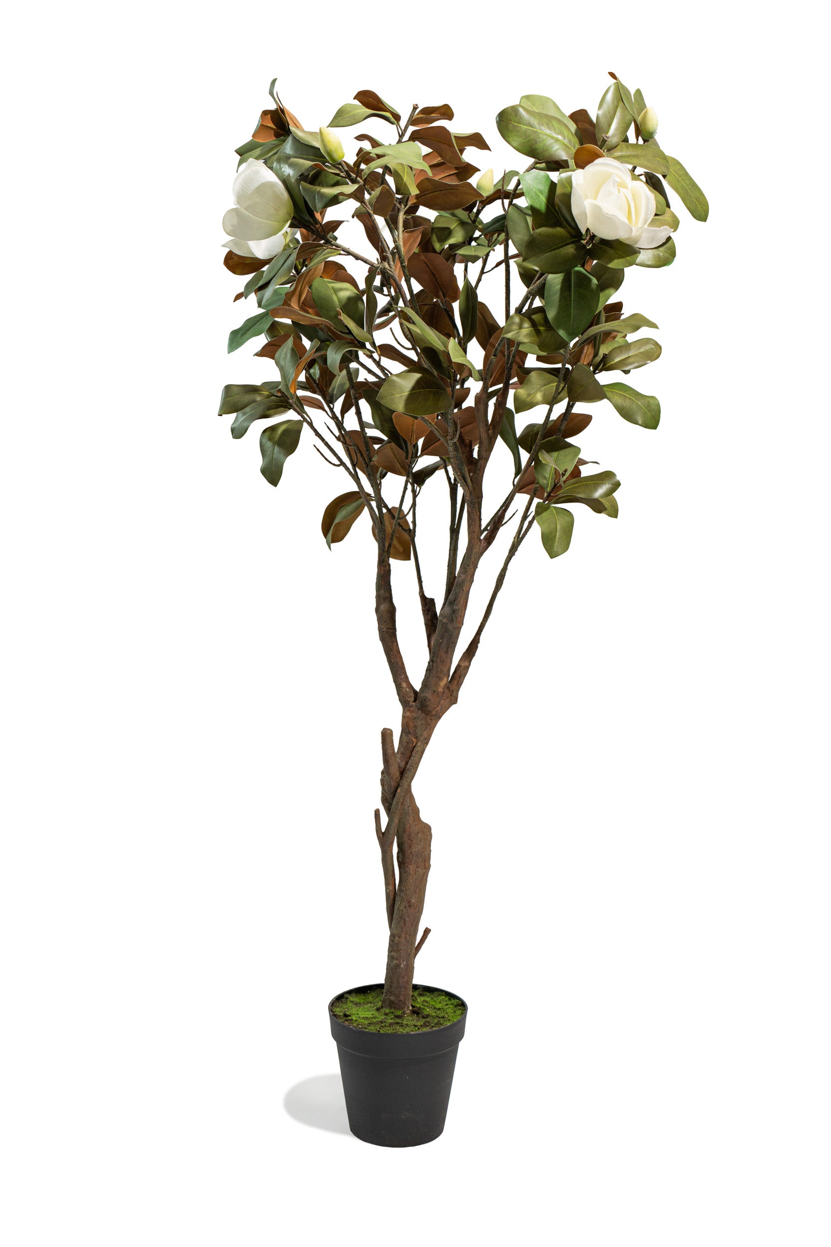 Albero artificiale realistico di Magnolia Deluxe con altezza 210cm Xone | Perrone Shop