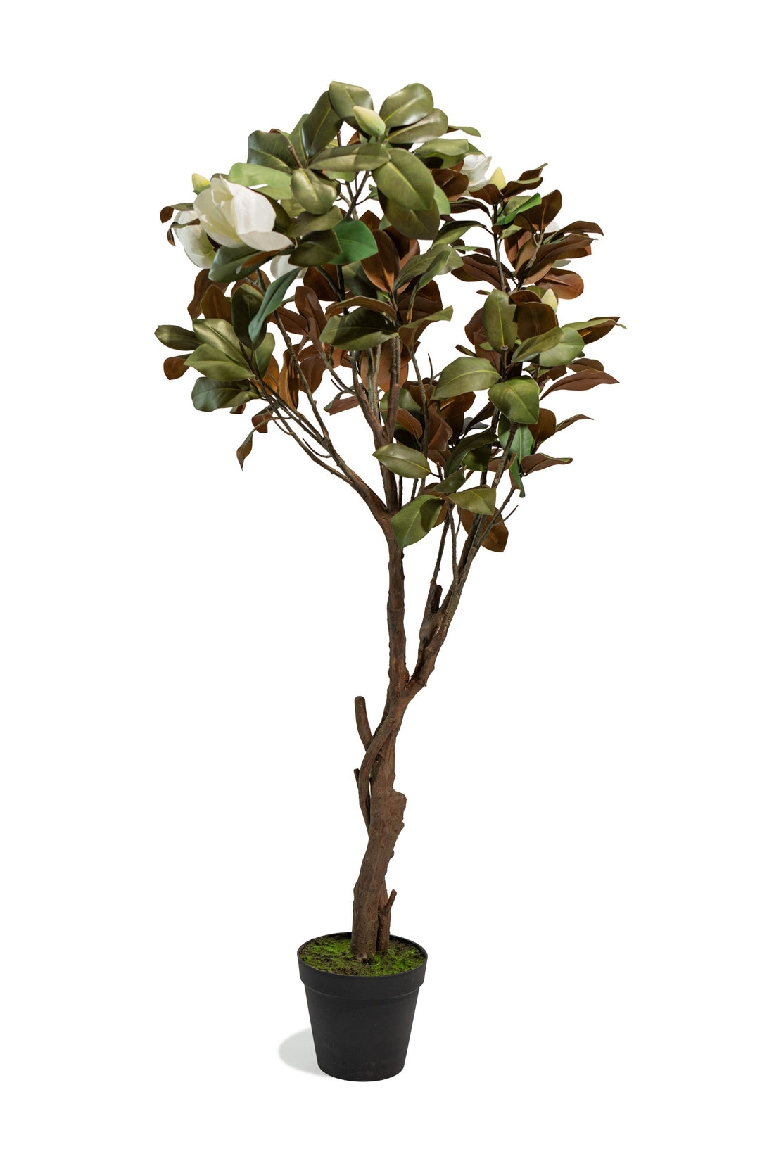 Albero artificiale realistico di Magnolia Deluxe con altezza 210cm Xone | Perrone Shop