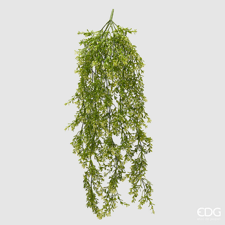 Ramo cadente Lamiacea Chic H70cm EDG