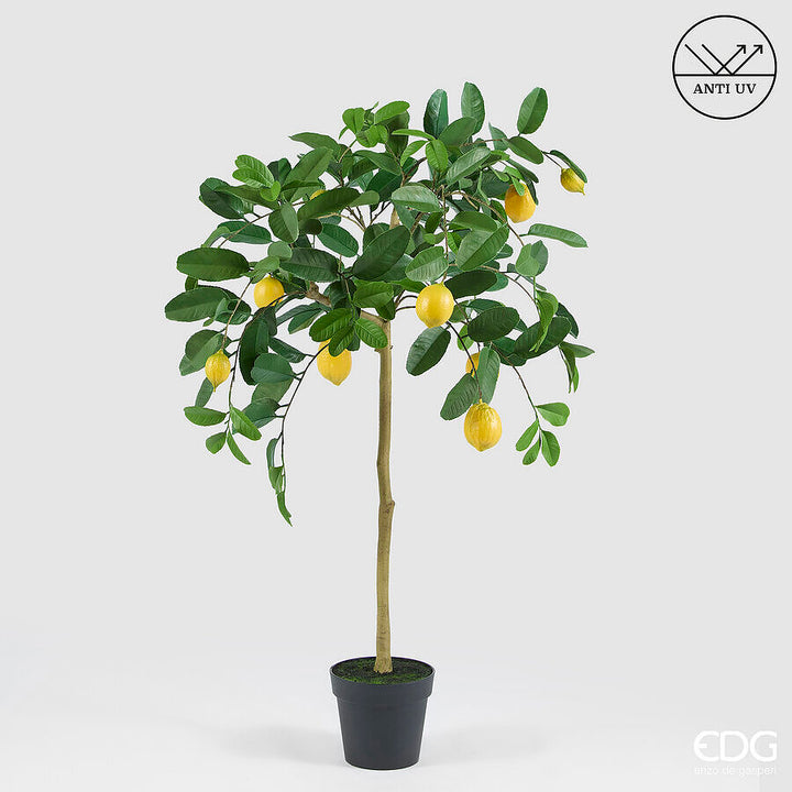 Albero di limone artificiale con vaso | EDG