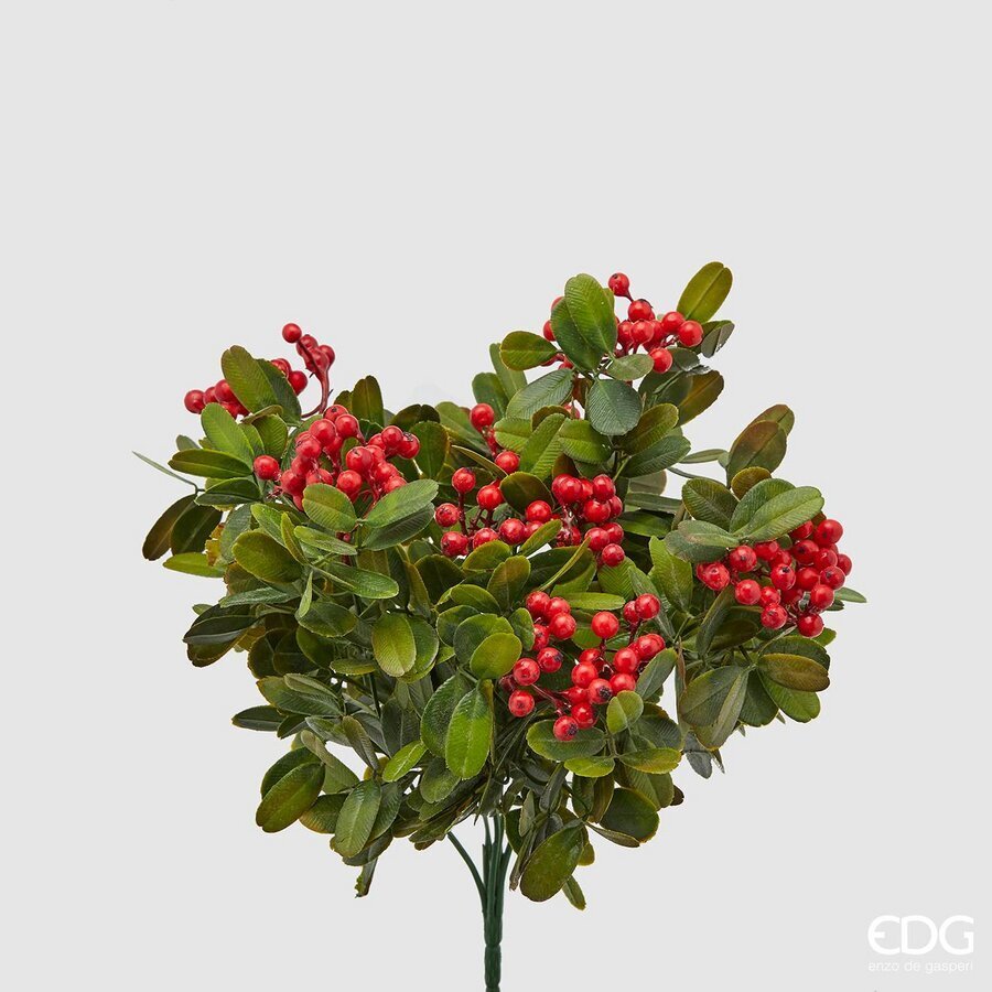 Cespuglio lentischio con bacche H30cm | EDG - Perrone Shop