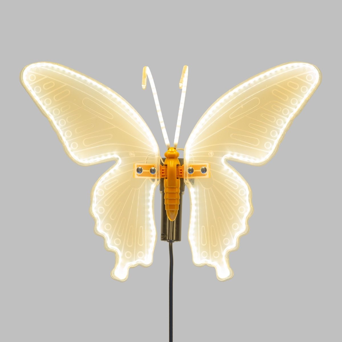 Farfalla luminosa LED con ali in movimento - Perrone Shop