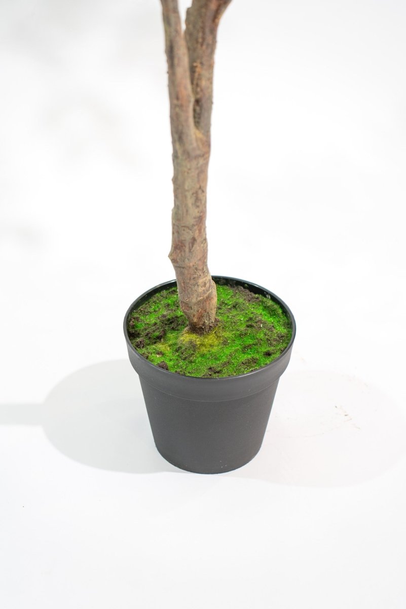 Albero artificiale Radermachera in vaso con altezza 210 cm Xone | Perrone Shop - Perrone Shop