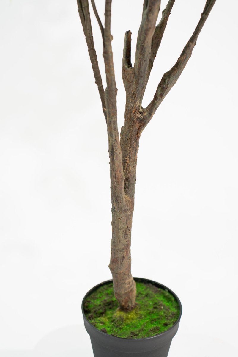 Albero artificiale Radermachera in vaso con altezza 210 cm Xone | Perrone Shop - Perrone Shop