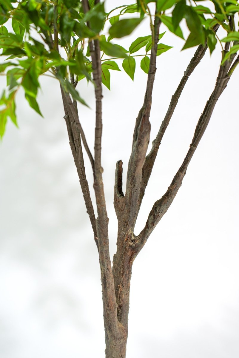 Albero artificiale Radermachera in vaso con altezza 210 cm Xone | Perrone Shop - Perrone Shop