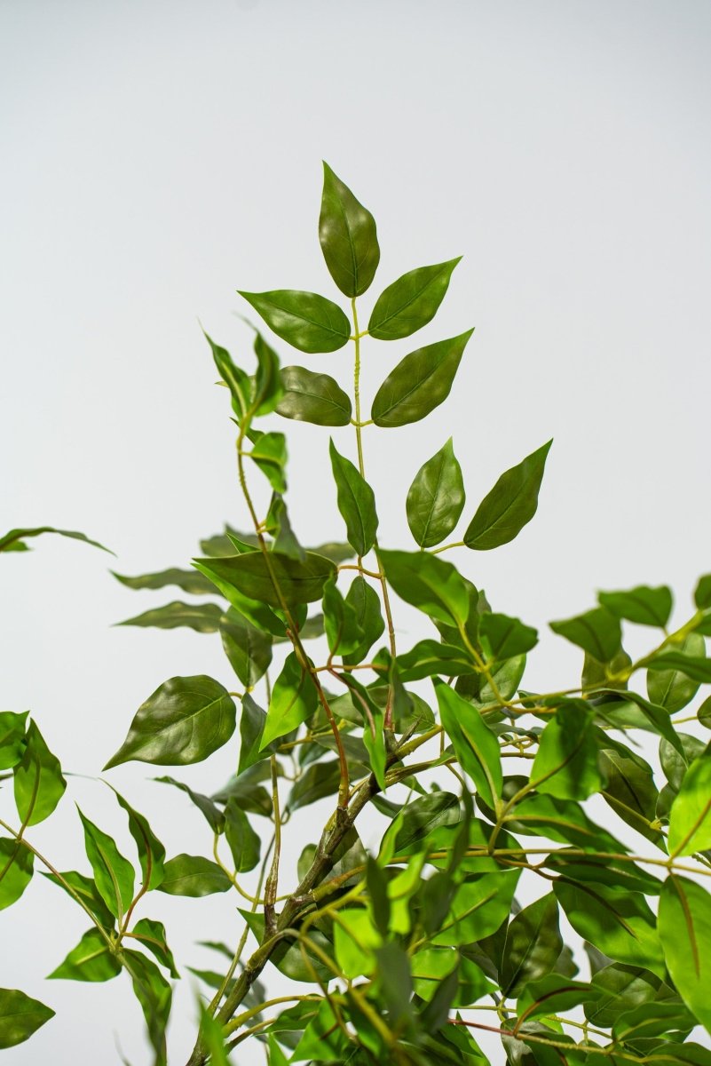 Albero artificiale Radermachera in vaso con altezza 210 cm Xone | Perrone Shop - Perrone Shop