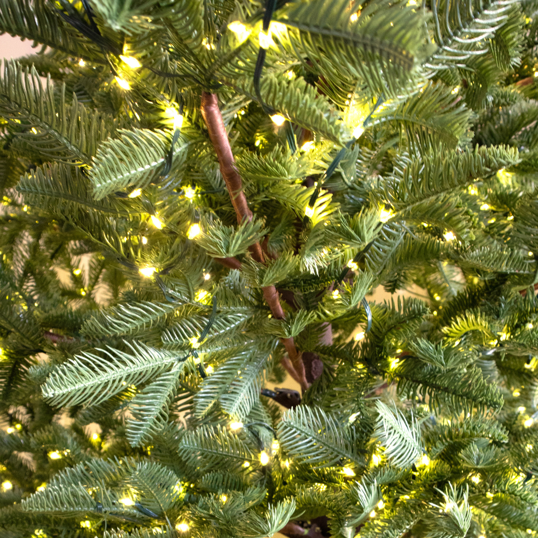 Albero di Natale Rockefeller Led by Salvatore Izzo