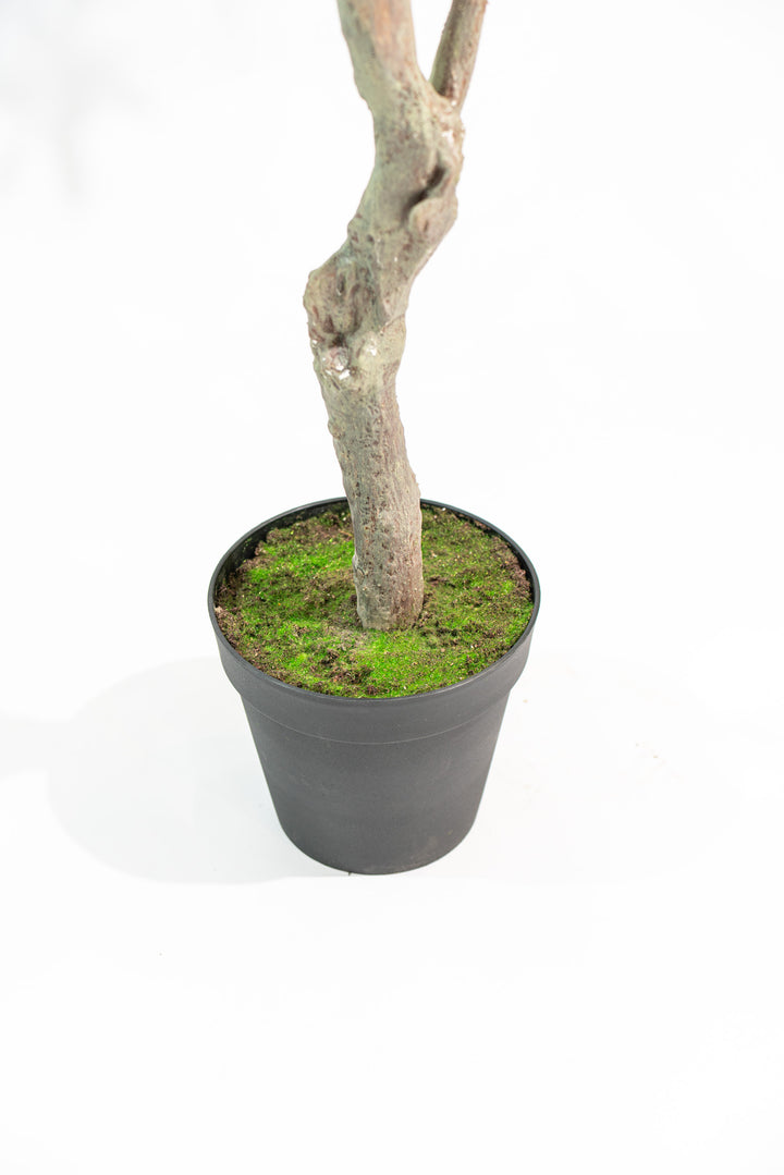 Ulivo artificiale realistico con altezza 245cm Xone | Perrone Shop