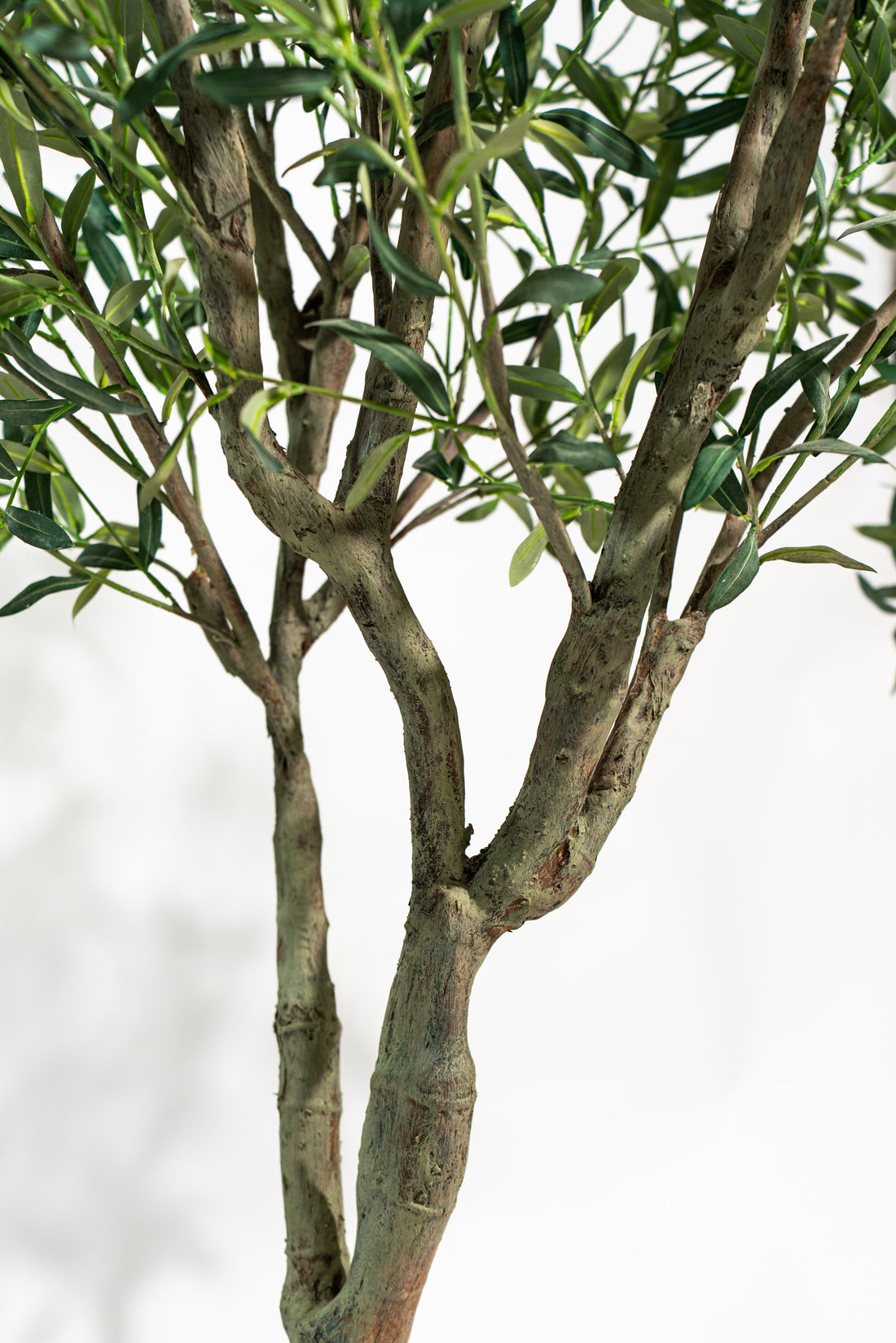 Ulivo artificiale realistico con altezza 245cm Xone | Perrone Shop