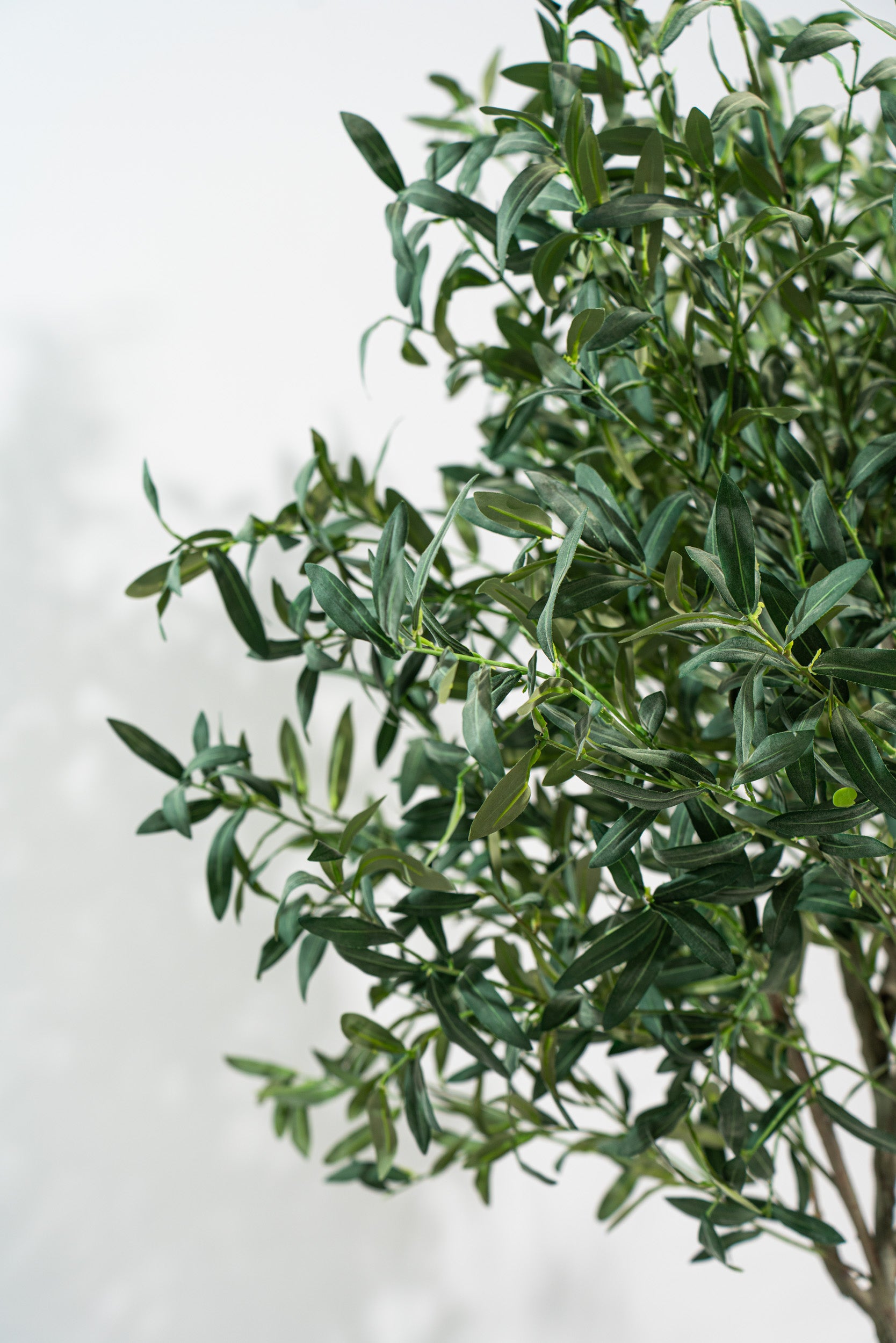 Ulivo artificiale realistico con altezza 245cm Xone | Perrone Shop