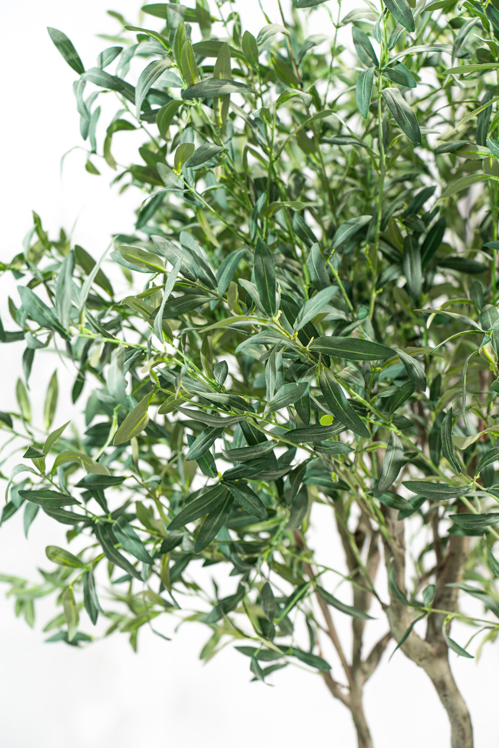 Ulivo artificiale realistico con altezza 245cm Xone | Perrone Shop