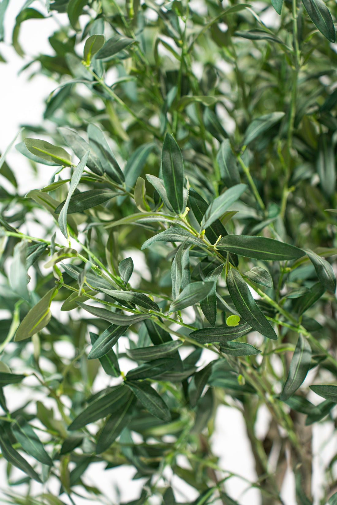 Ulivo artificiale realistico con altezza 245cm Xone | Perrone Shop