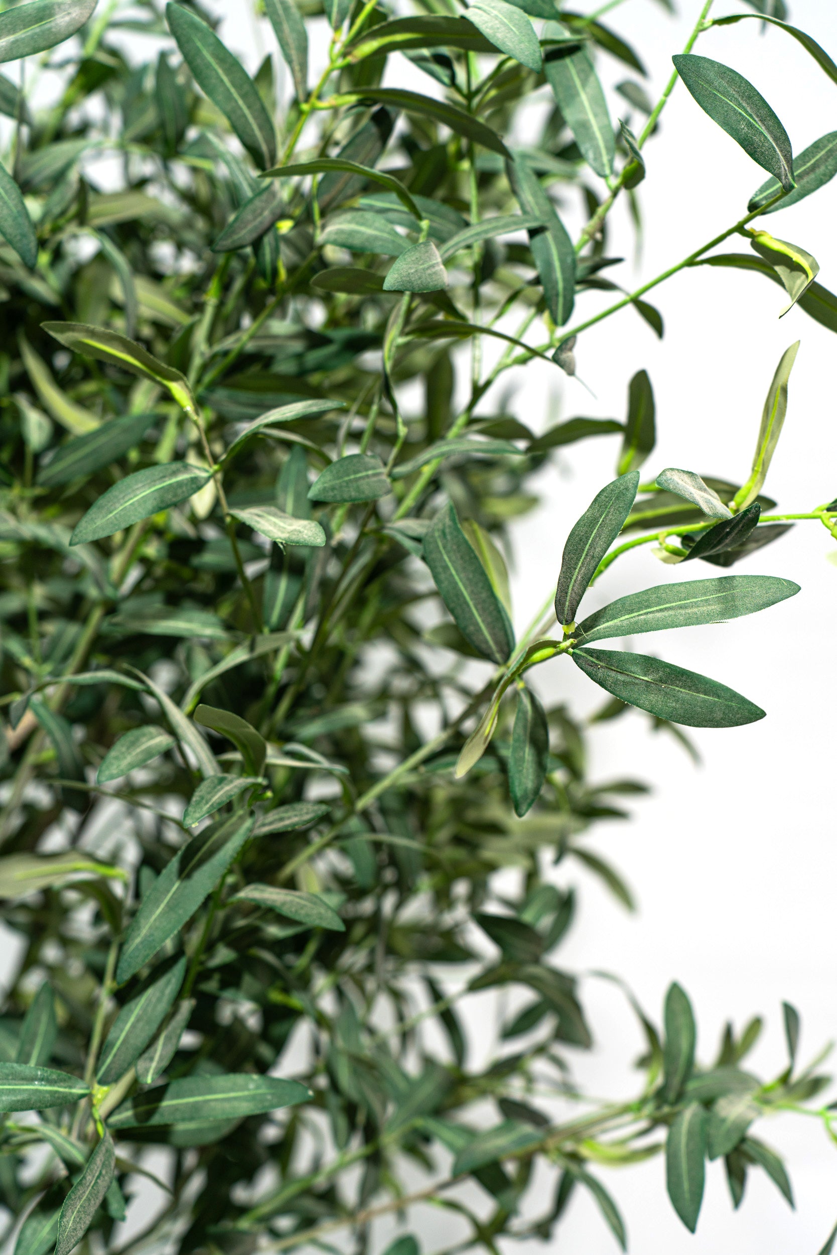 Ulivo artificiale realistico con altezza 245cm Xone | Perrone Shop