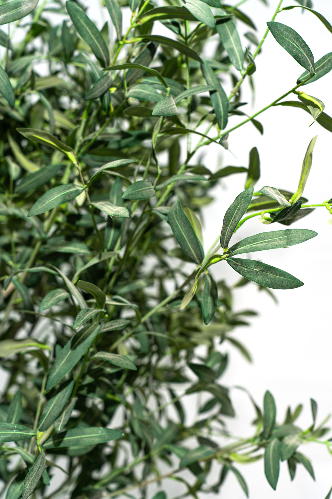 Ulivo artificiale realistico con altezza 245cm Xone | Perrone Shop