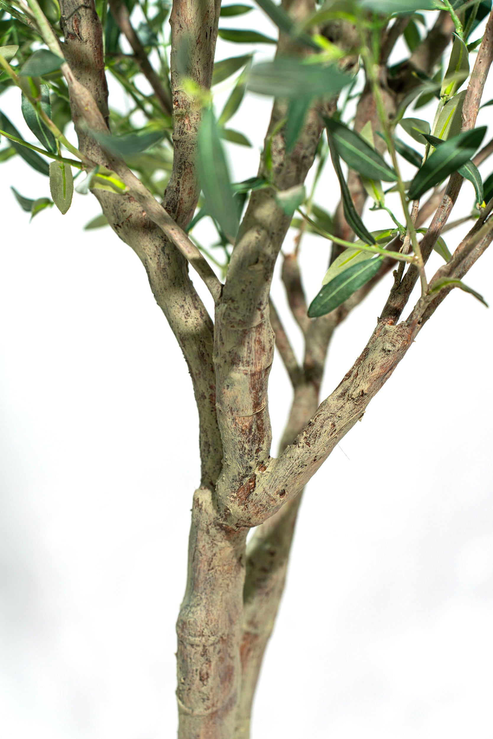 Ulivo artificiale realistico con altezza 245cm Xone | Perrone Shop