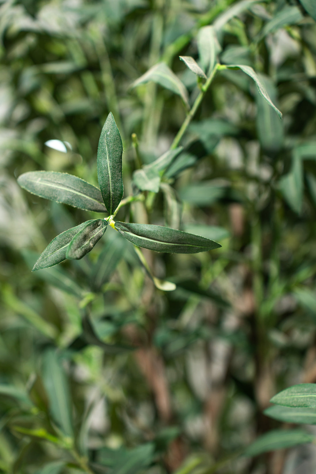 Ulivo artificiale realistico con altezza 245cm Xone | Perrone Shop