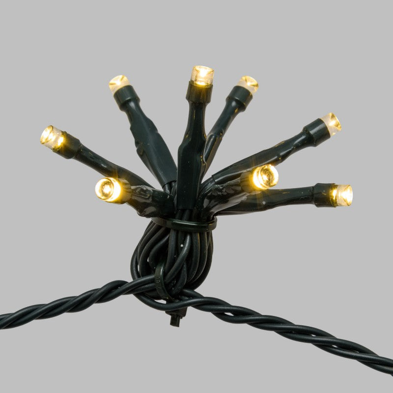 40 ciuffi LED luce calda 16 m Lotti
