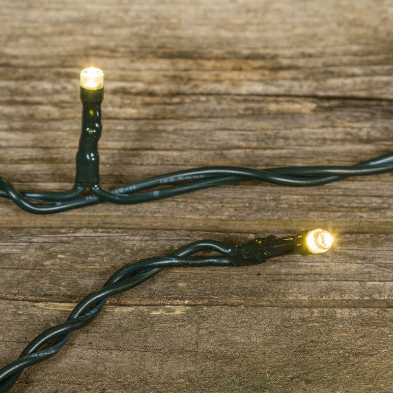 40 LED luce calda fissa Lotti